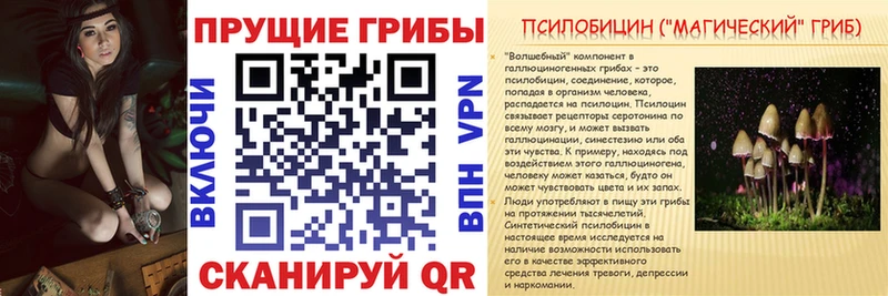 Купить где Чёрмоз Галлюциногенные грибы Magic Shrooms